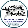 강서월드태권도장 이미지