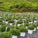 남사농장 이미지