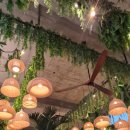 달빛가득 | 달빛새 남양주 대형 베이커리앤카페 방문후기