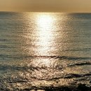 제주 하얀집 이미지