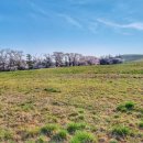 단양한우 목장 이미지