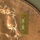 개미통신 이미지