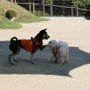 현대종합동물병원 이미지