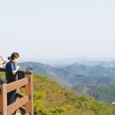 (주)여행신문