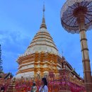 아시아나 | 태국 치앙마이 항공권 직항 가격 아시아나 기내식 후기