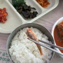 해동횟집 | 부산 기장 맛집 식객 허영만의 백반기행 해동횟집 멸치세트 솔직후기