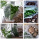 개척농장 이미지