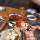 팔공산갈매기