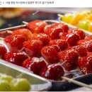 비주얼인컴 | 셔터스톡에서 실제로 팔리는 사진은 무엇일까? | 명동 출사 판매 이미지 공개
