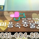 내마음속동물병원 이미지