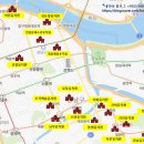 강남유치원 이미지