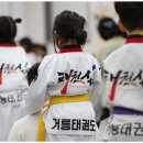 거룡태권도장 이미지