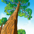 사)한국지체장애인협회경기도협회남양주시지회 | 박리라교수, (사)장애인정보화협회 남양주지회에서 인공지능 강의 9주차ㅡ자서전쓰기, 캔바 편지쓰기☺️