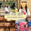 울엄니 식당 | 도쿄 | Day 1 (디즈니씨 입장부터/어트랙션/퍼레이드 후기까지🎡)