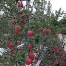 함박골농장 이미지