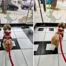 두리동물클리닉 이미지