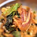 물고기잡스 이미지