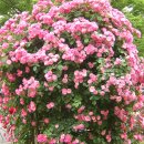 성서도서관 이미지