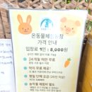 예스라농장 | 경기 시흥 아이와 가볼만한곳] 먹이주기 무제한에 라면 먹방까지! 시간제한 없는 온동물체험농장 방문 후기