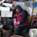 장터사람들 이미지