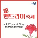 섬 맨드라미 축제 이미지
