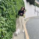 플랜비마켓 이미지