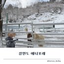 더 포레 동물병원 | 강원도 평창 애니포레 후기 ! 아이와 가기 좋은 동물체험 여행
