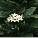 해오름관광농원 이미지