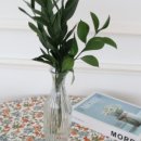 초이핸드 이미지