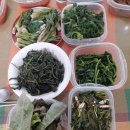 강회농장 이미지