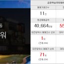 봄내부동산공인중개사사무소 이미지