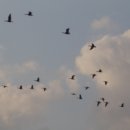 철원고등학교 이미지