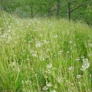 비량농원 이미지