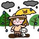 땡큐애견 이미지