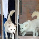 송강동물병원 이미지