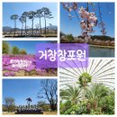 라온나무병원 이미지