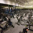 올레짐 피트니스 이미지