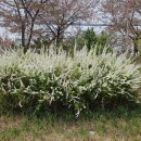 금강사우나 이미지