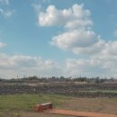 뽑기로드 | 🥕[제주/구좌] "음료 마셨더니 당근을 주네?" 소농로드, 아이와 당근 털고 온 후기