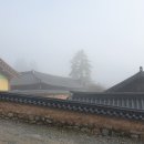 순천-65호 이미지