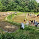 한새봉농업생태공원 이미지