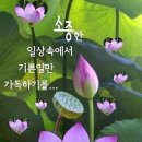 봄이오는소리