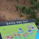 강원도 겨울 여행 대관령 자연휴양림 숲나들이 실제 후기