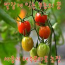 부농농장 이미지