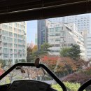 빌드업피트니스 &PT 성수역점 | 서울 성동 빌드업피트니스 PT 성수역점 후기(ft.지상이라 좋아요)✨