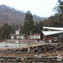 국립남해편백자연휴양림 이미지