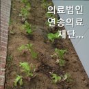 의료법인 연송의료재단 제2신창요양병원 이미지