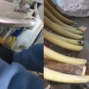 사임당로17길 116 이미지