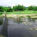 서호공원 이미지