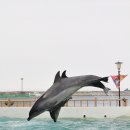 마린파크 이미지